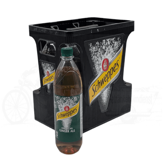 Schweppes American Ginger Ale 6x1,0l PET